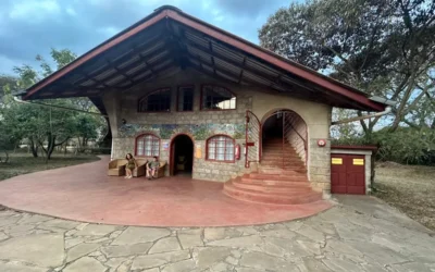 Sbírka WOW day v Brně